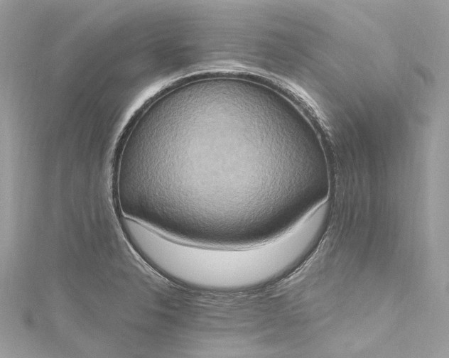 X0000115401326200911171509