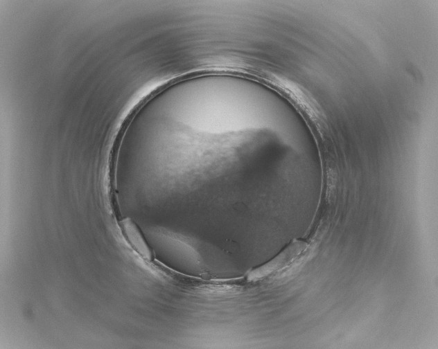 X0000115401331200911171509