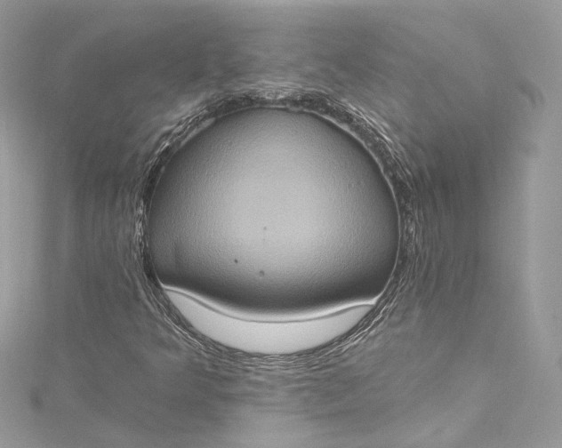 X0000115401349200911171508