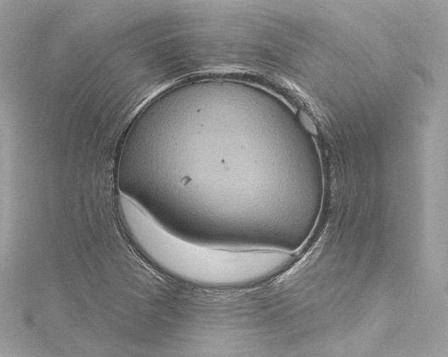 X0000115401361200911171508