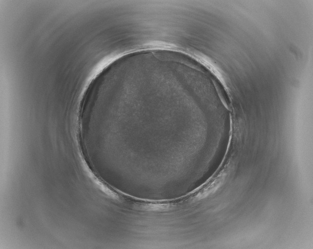 X0000115401381200911171508