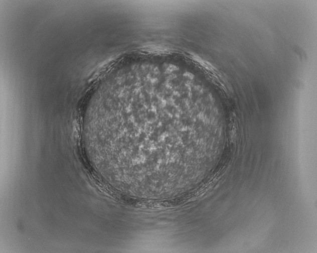 X0000115401397200911171507