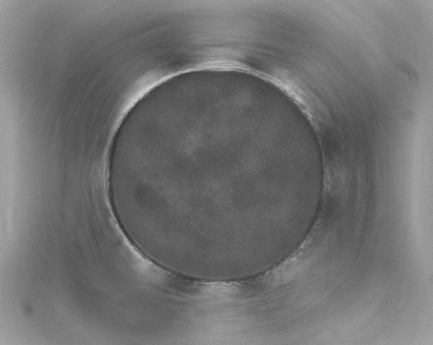 X0000115401430200911171508