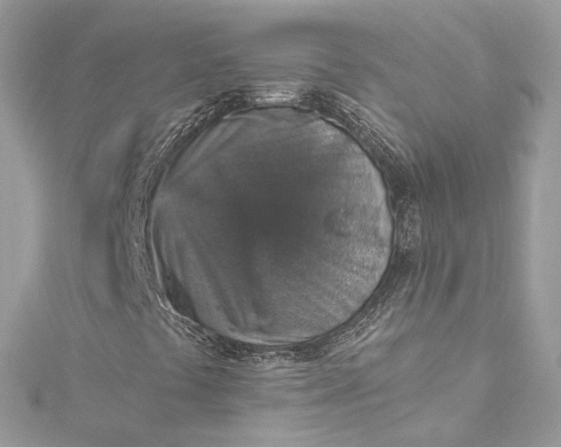X0000115401441200911171507