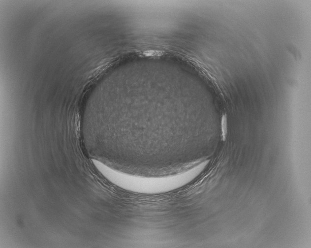 X0000115401443200911171507