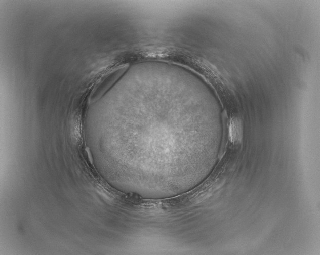 X0000115401444200911171507