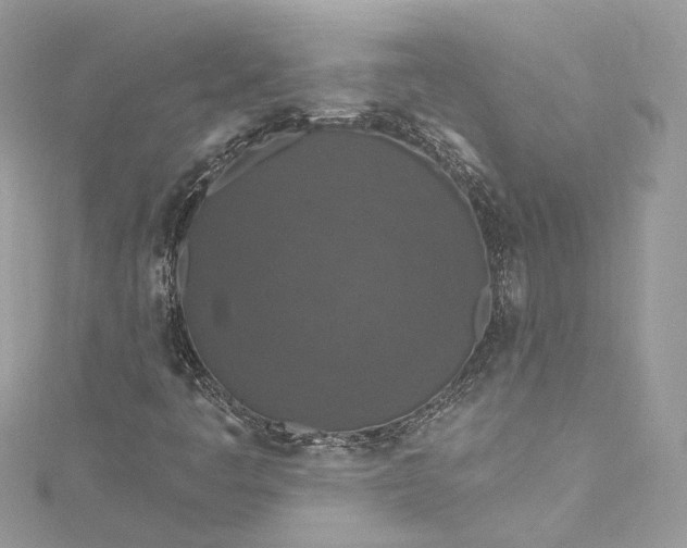 X0000115401445200911171507