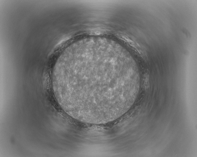 X0000115401446200911171507