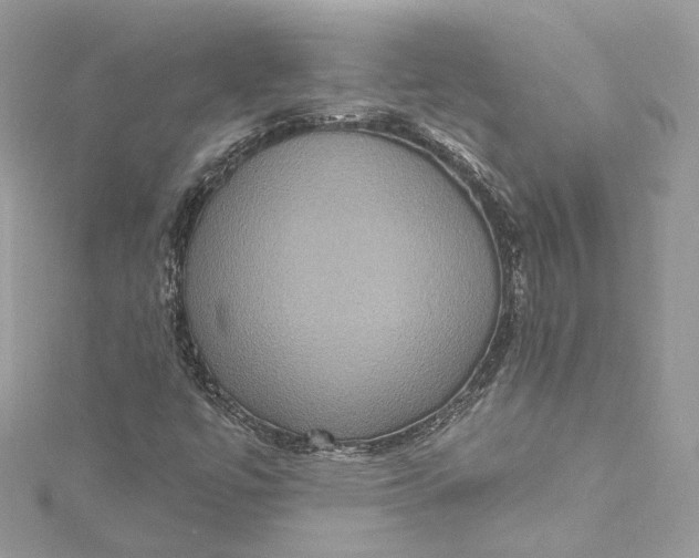 X0000115401447200911171507
