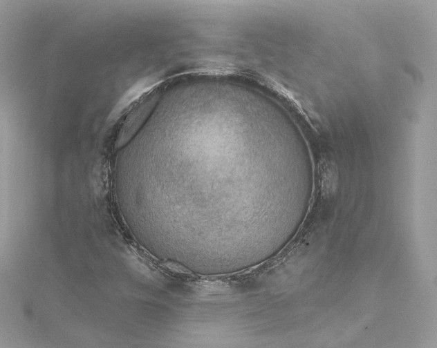 X0000115401448200911171507