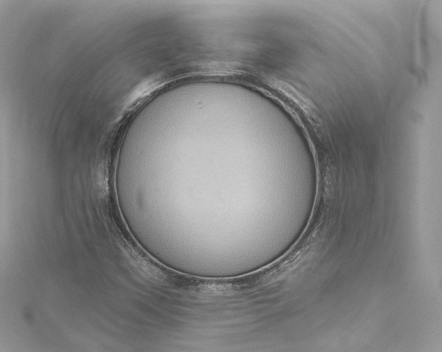 X0000115401451200911171507