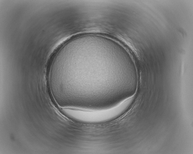 X0000115401452200911171507