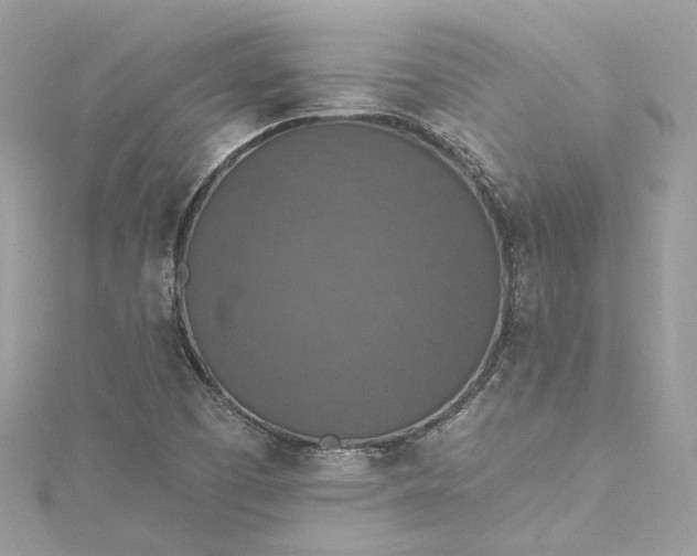 X0000115401457200911171507