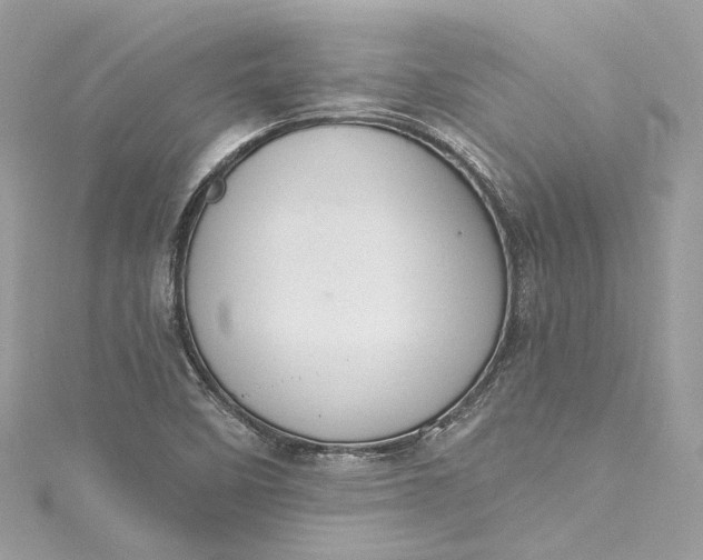X0000115401458200911171507