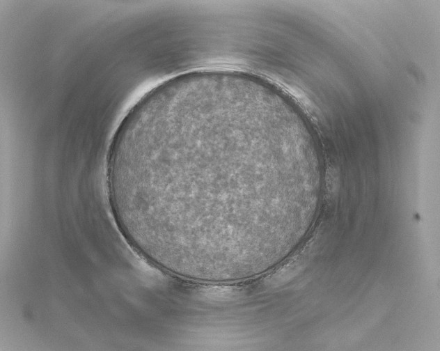X0000115401470200911171507