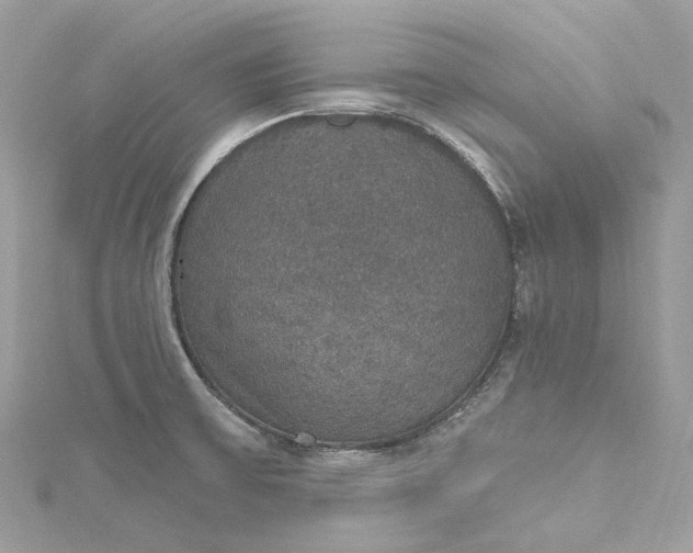 X0000115401475200911171507