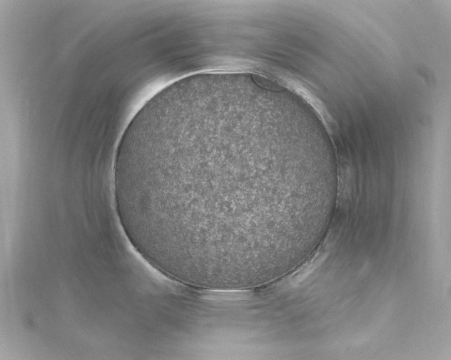 X0000115401487200911171507