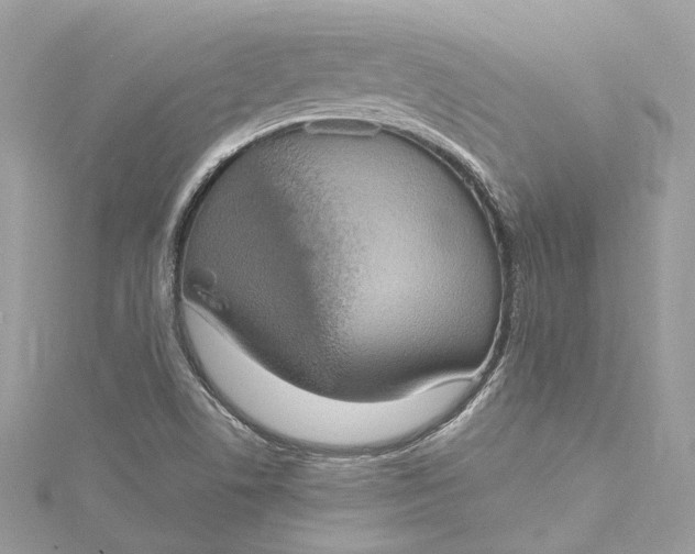 X0000115401506200911171506