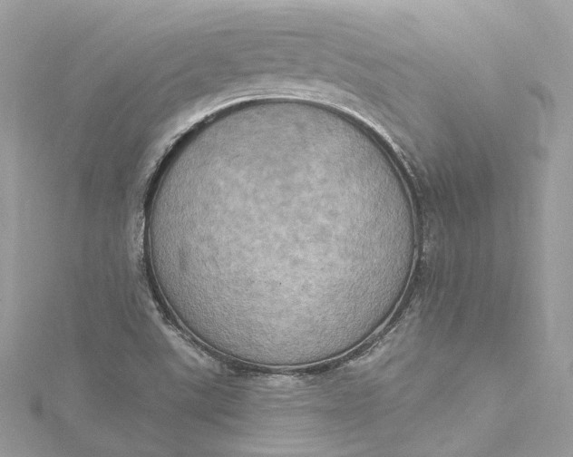 X0000115401507200911171506