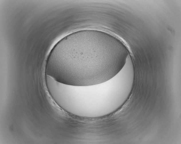 X0000115401530200911171506