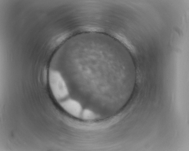 X0000115400014200911241316
