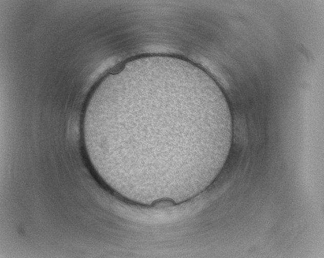 X0000115400015200911241316