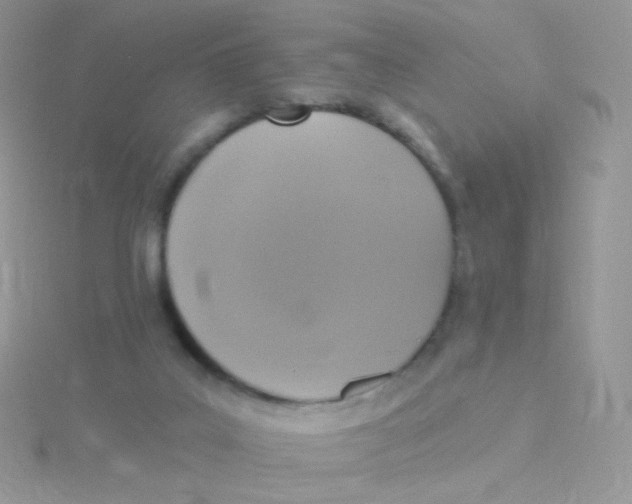 X0000115400019200911241316