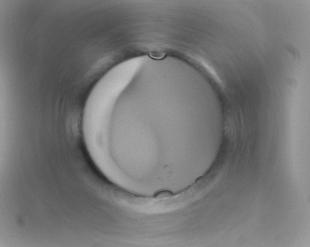 X0000115400023200911241316