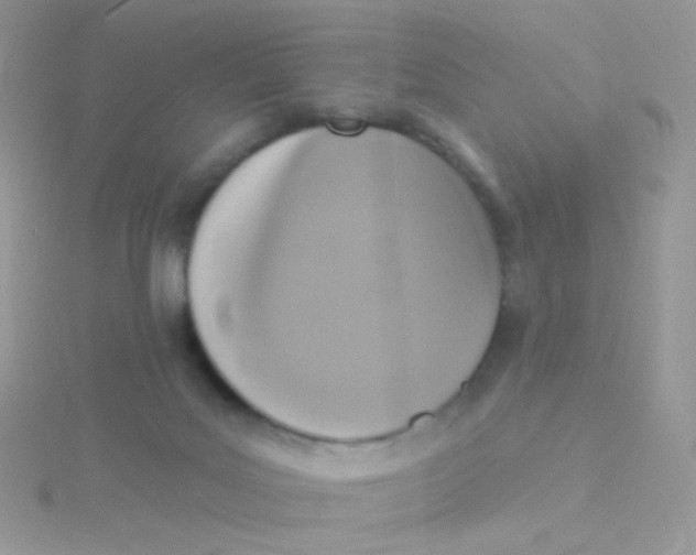X0000115400027200911241316