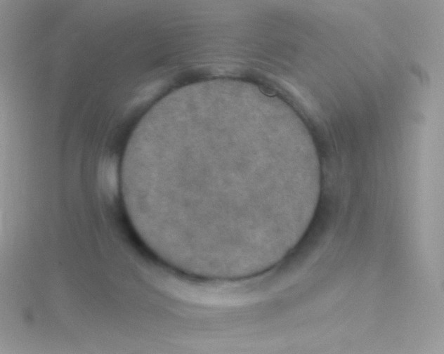X0000115400028200911241316