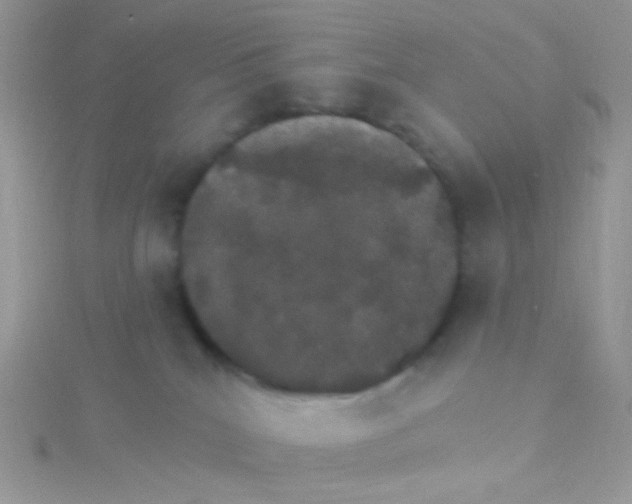 X0000115400040200911241316