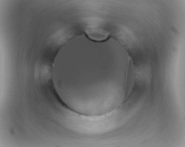 X0000115400043200911241316