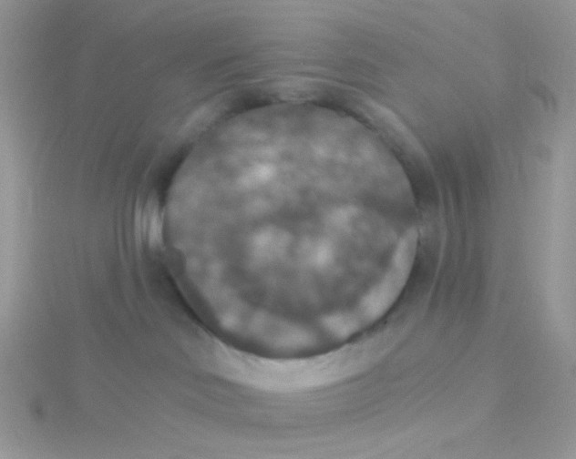 X0000115400046200911241316