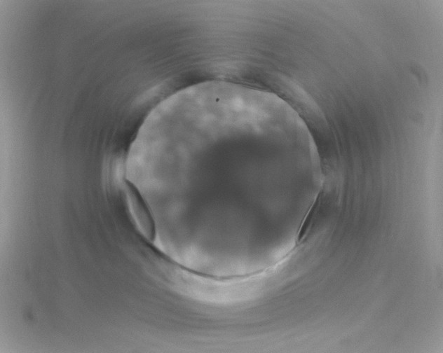 X0000115400047200911241316