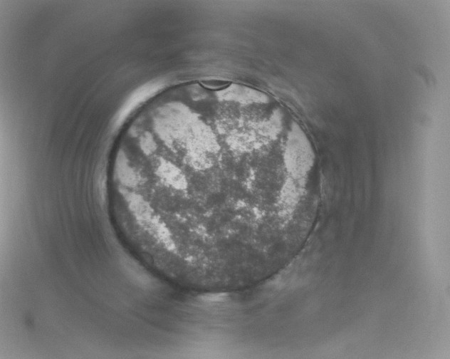 X0000115400054200911241315