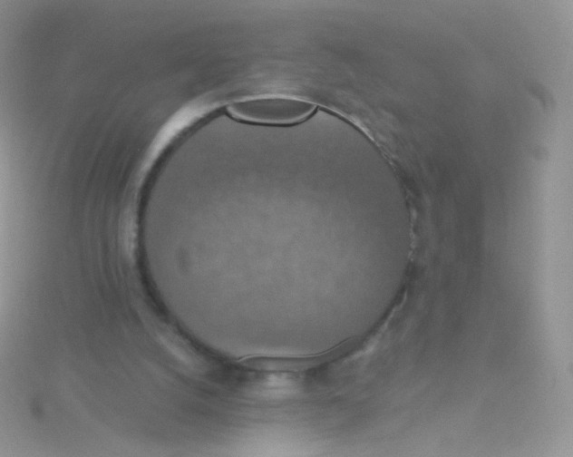 X0000115400056200911241315