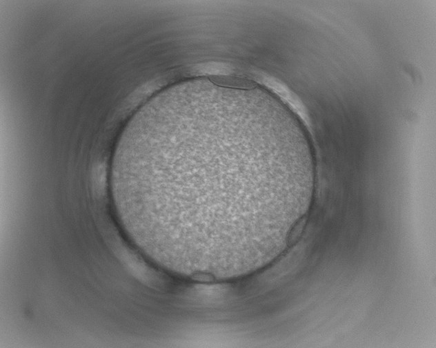 X0000115400057200911241315