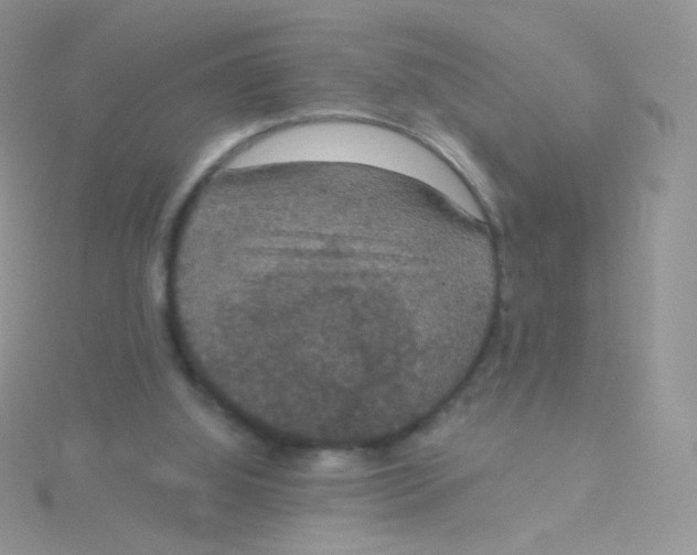 X0000115400060200911241315