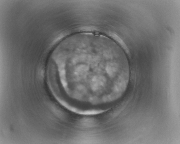 X0000115400063200911241315