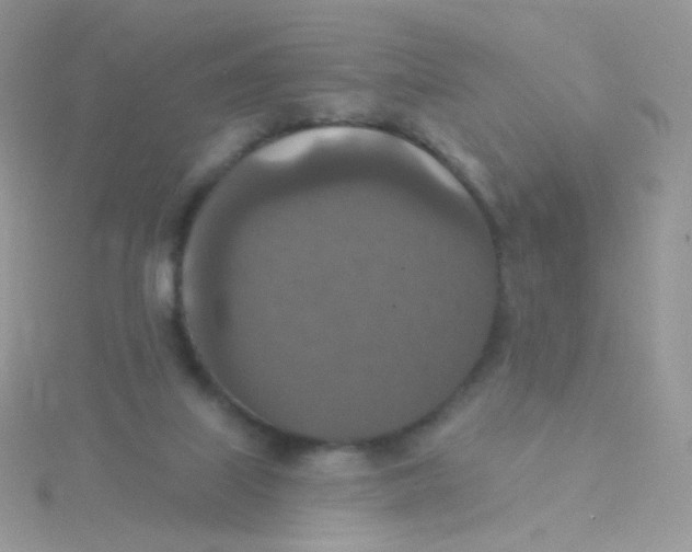 X0000115400067200911241315