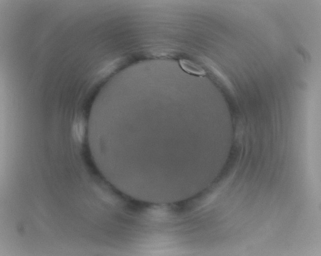 X0000115400076200911241315