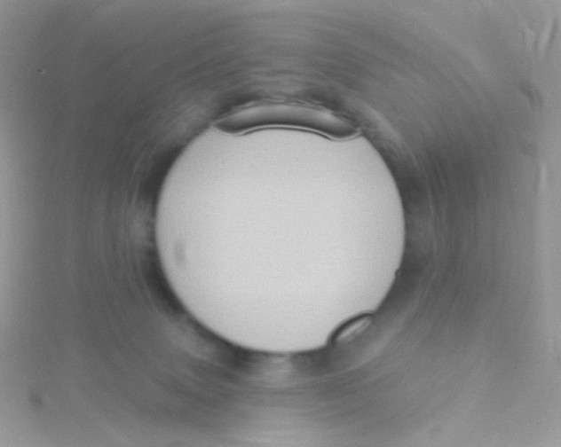 X0000115400083200911241315