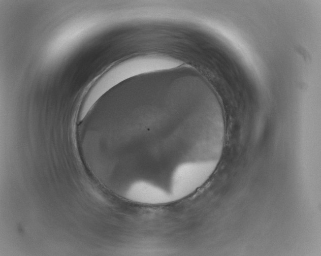 X0000115400099200911241315