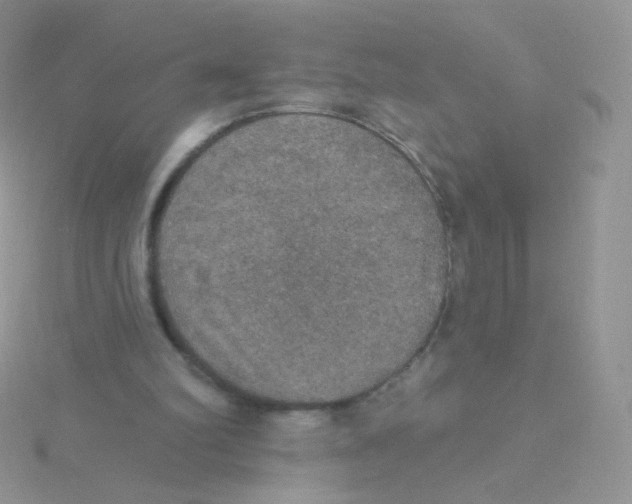 X0000115400102200911241315