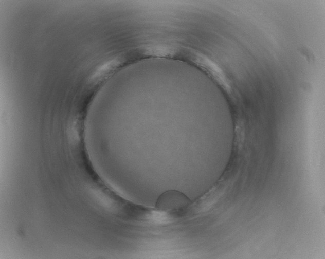 X0000115400114200911241315