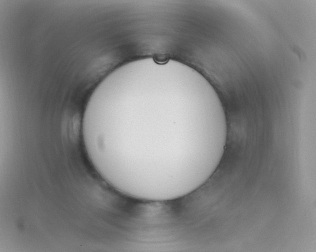 X0000115400118200911241315