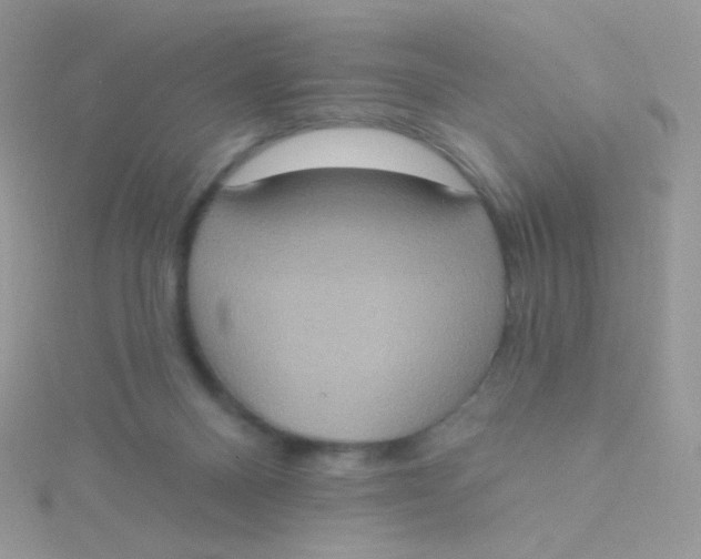 X0000115400120200911241315
