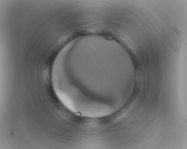 X0000115400127200911241315