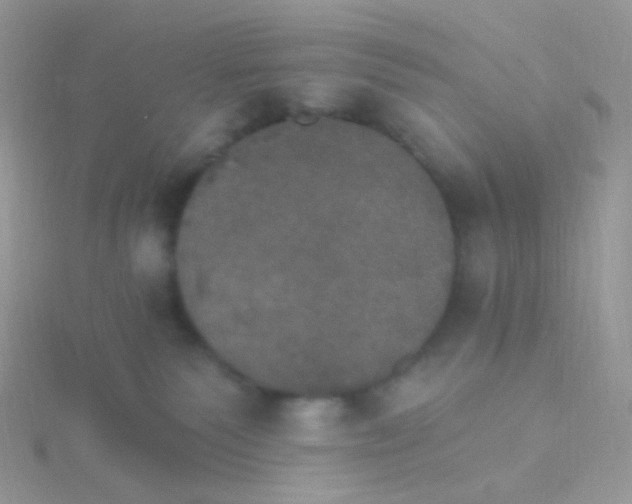 X0000115400135200911241314