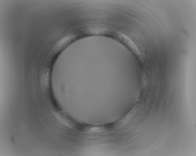 X0000115400163200911241314